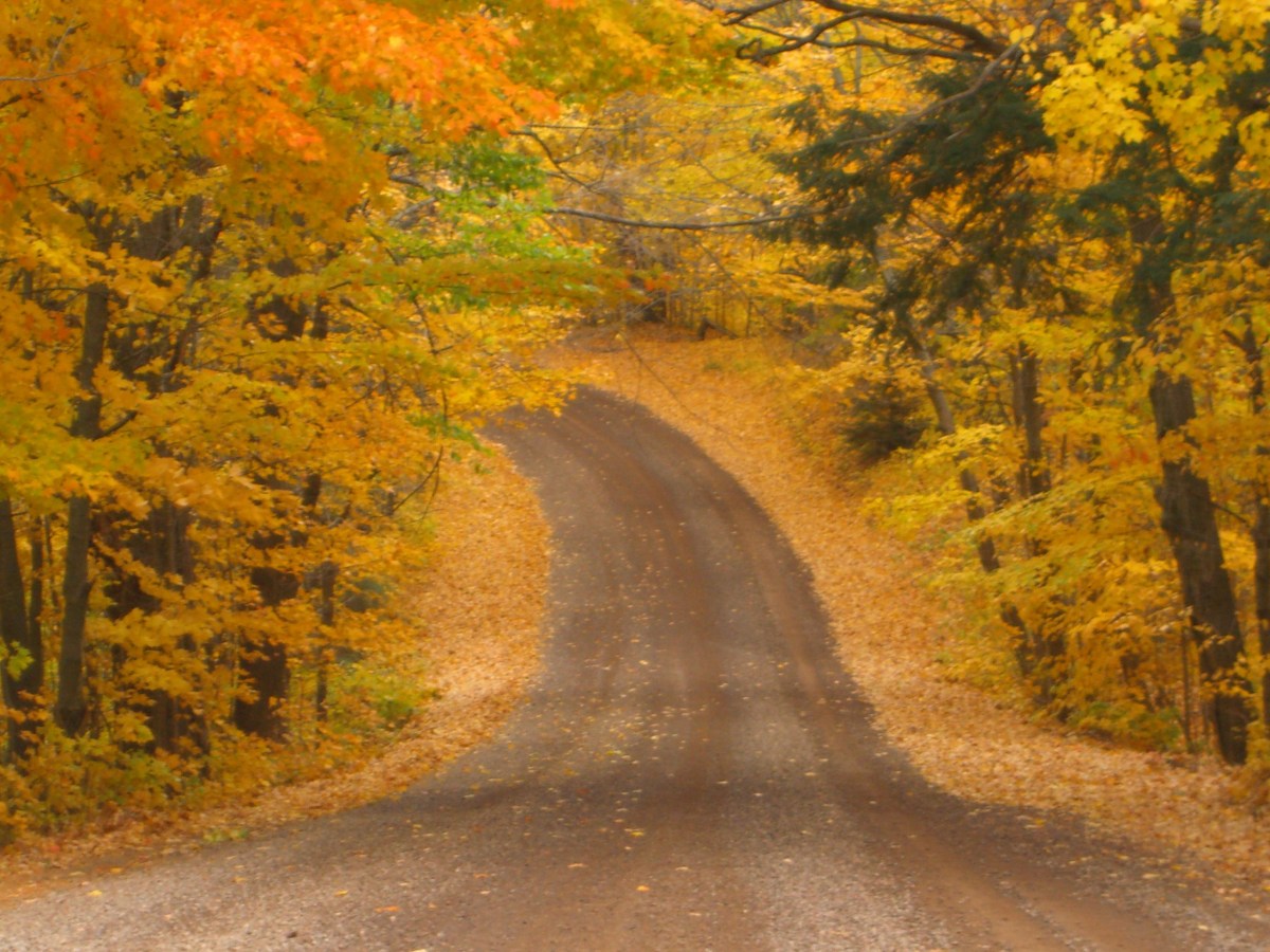 Fall Home Maintenance&nbsp;List